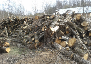 Утилизация деревьев на участке без применения крупногабаритной техники