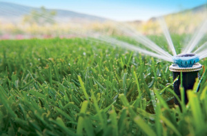 Устройство автополива (газона, деревьев, огорода, теплица)