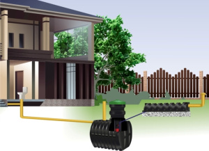 Устройство местной канализации