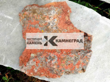 Камень красный с лишайником