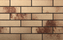 Клинкерная плитка Octo 